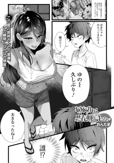お姉さんは思春期（ボク）を許さない